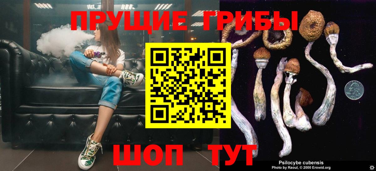 Псилоцибиновые грибы Psilocybine cubensis  Вход с VPN  Будённовск 
